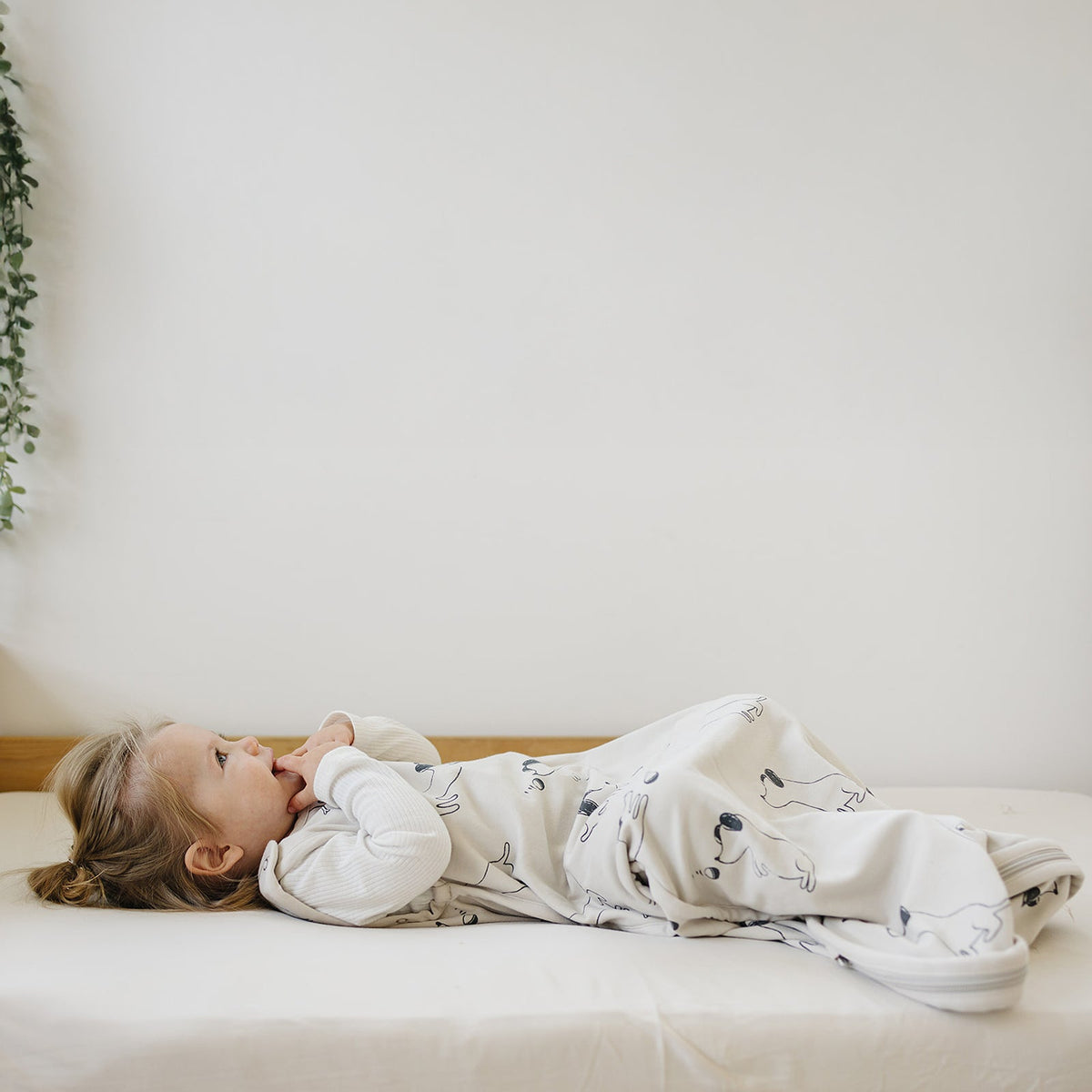 4 Season® Ultimate Baby Sleep Bag, Merino Wool & Organic Cotton, Puppy