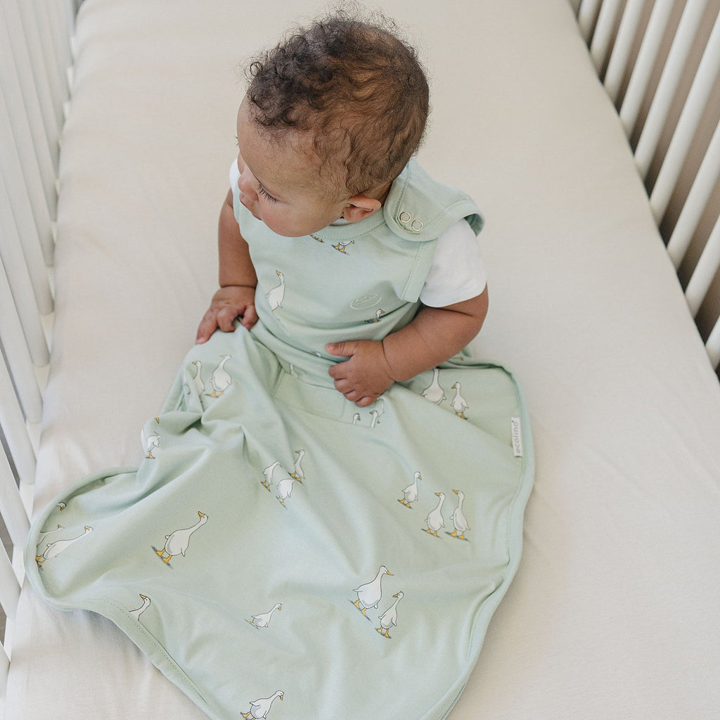 Ecolino® Adjustable Baby Sleep Bag, Organic Cotton, Universal Size: 2 Months - 2 Years, Goose